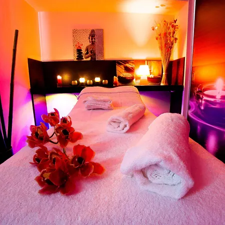 ホテル The Originals City, Les Domes, Sud Saleilles 3*