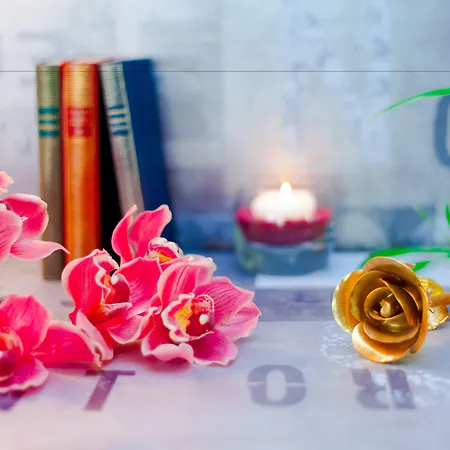 The Originals City, Les Domes, Sud Saleilles 3*