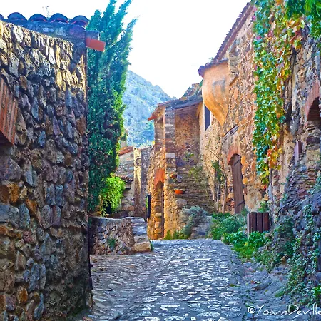 The Originals City, Les Domes, Sud Saleilles פרפיניין