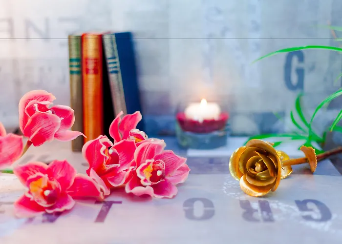 The Originals City, Les Domes, Sud Saleilles 3*